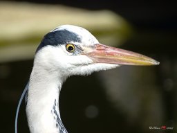Tiergarten Schönbrunn am 23.03.2023